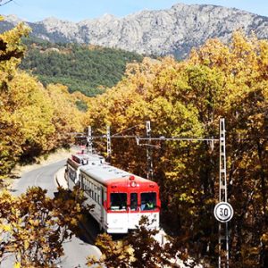 tren naturaleza cercedilla